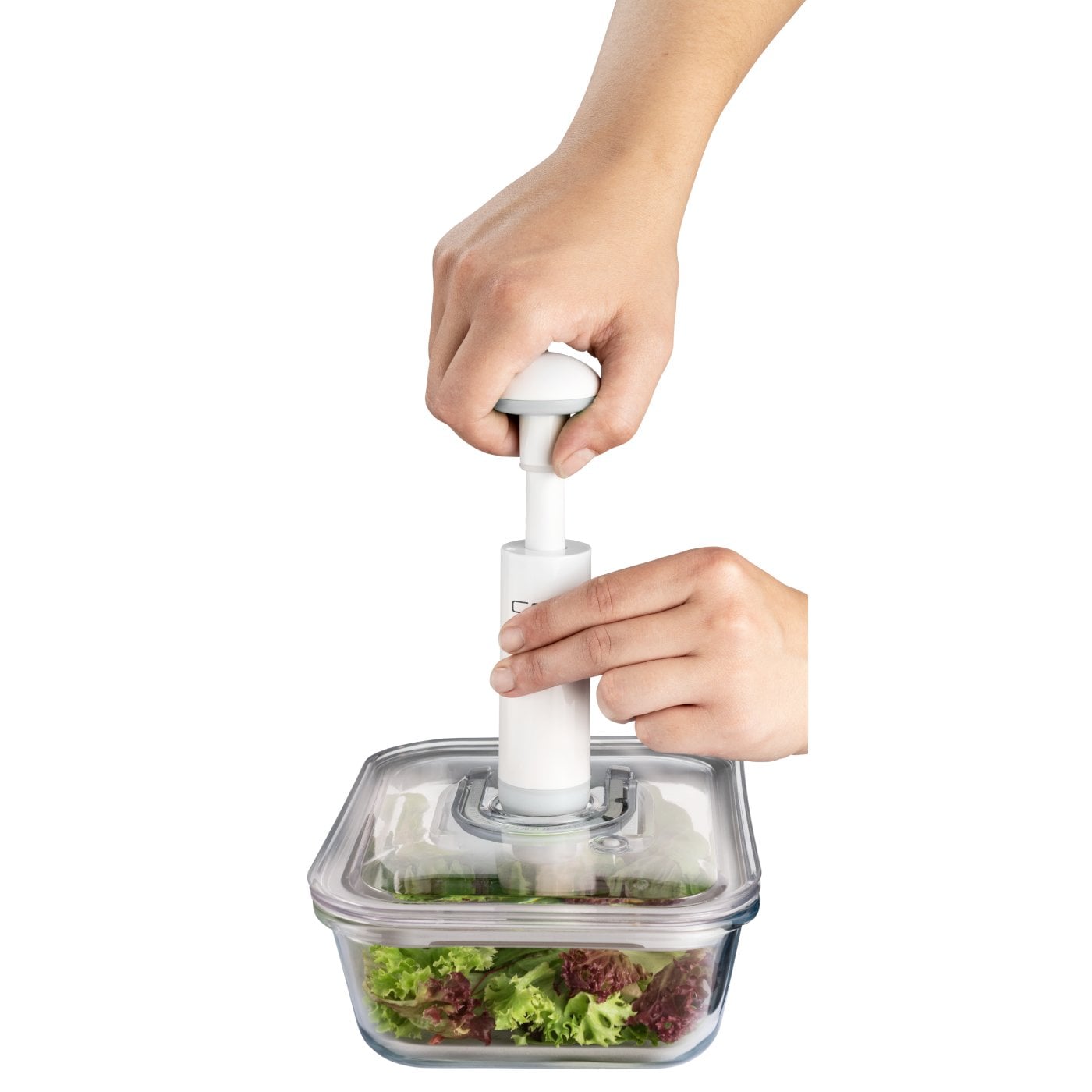 Caso Pumpe og adapter til vakuumbeholder Caso Pumpe og adapter til vakuumbeholder